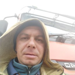 �����, 37 ���, ��������