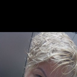 ���� �������, ������, 50 ��� - ��������� 13 ������� 2026