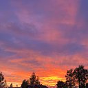 �����)) �� ������� ���� ����������