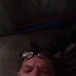 ����, 66 ���, �������