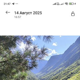 ���� ������, �����������, 43 ���� - ��������� 15 ������ 2026