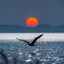 ���� ����� 288, ����� - ��������� 13 ��� 2026 � ������ ������ ��������