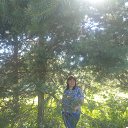 ���� ������, �����-���������, 66 ��� - ��������� 1 ������� 2024 � ������ ������ ��������