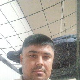 , 40, 