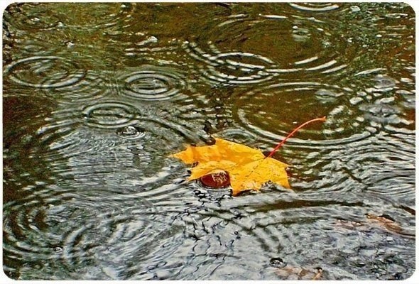   ,    ,      , ,   ... - 8