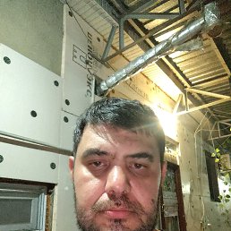 , 34, 