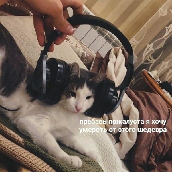 ��� �������� �������� - 26 ������� 2024 � 20:25