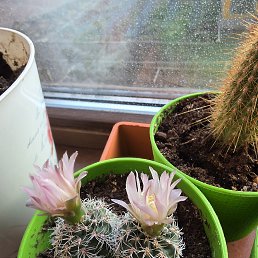 ���� �����, �����-���������, 57 ��� - ��������� 28 ����� 2026