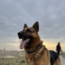 �, �����, 44 ����