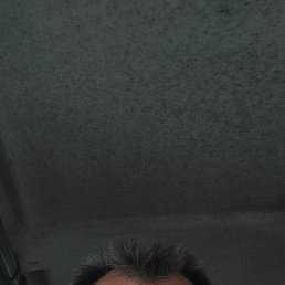 ���� �����, �������, 60 ��� - ��������� 30 �������� 2024