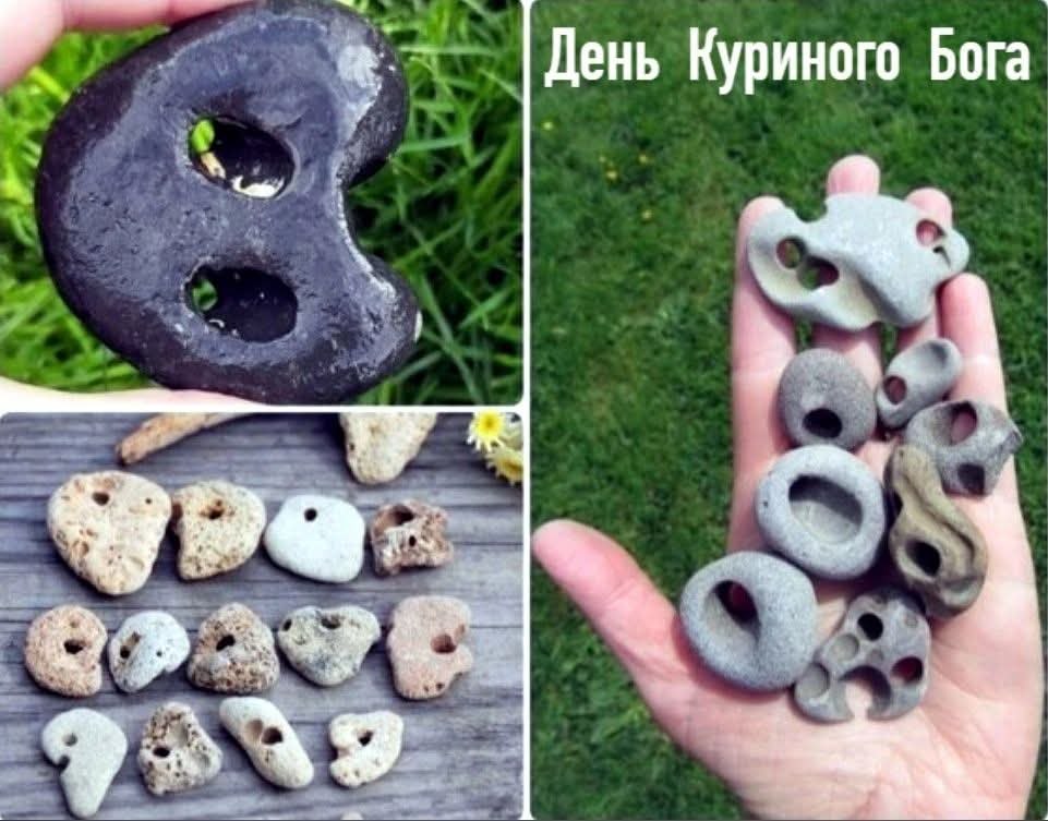 1 июля — День Куриного Бога.Необычный праздник – день Куриного Бога отмечают ежегодно 1 июля. ...