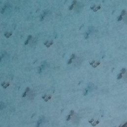 �������, �����-���������, 44 ����