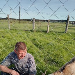 ��������, ��������, 40 ���