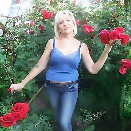 ���, ��������������