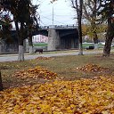 ���� �������, ����� - ��������� 16 ������� 2025 � ������ ���� ����������