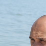 ������, 42 ����, ����������