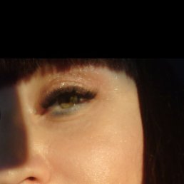 �������, �����-���������, 40 ���