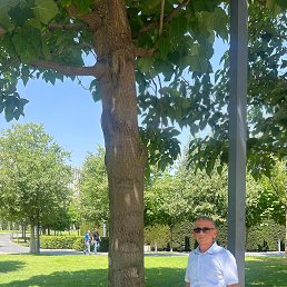 �����, 55 ���, ���������