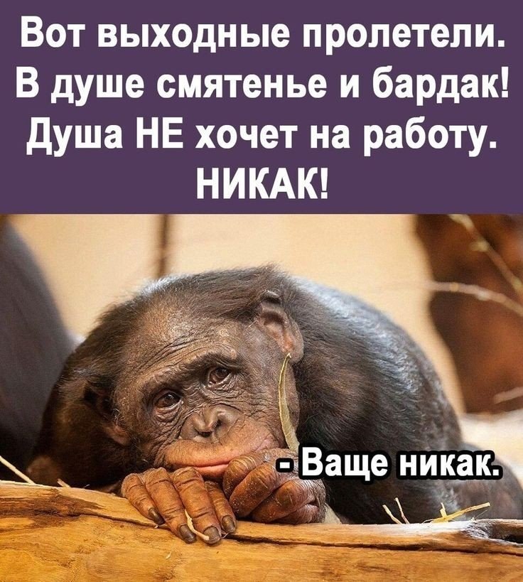 �������� ��������� - 9 ��� 2026 � 14:54