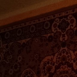 ���������, ����������, 51 ���