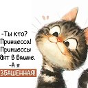  , , 60  -  31  2025    