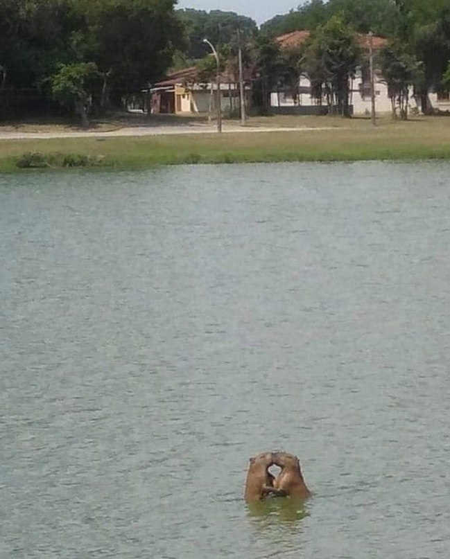   ,           ...