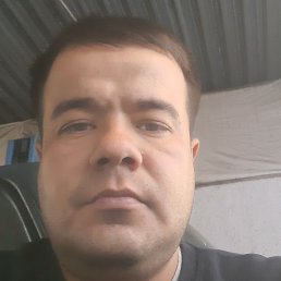 ����, ���������, 31 ���