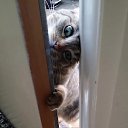 ���� ������, ���� - ��������� 25 ������ 2025 � ������ ���� ����������