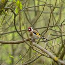 ���� Yuriy, ��������, 48 ��� - ��������� 6 ��� 2025 � ������ �����