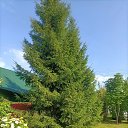 ���� Aleksandr, ������, 54 ���� - ��������� 15 ���� 2026