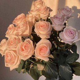 �������, ���������, 38 ���