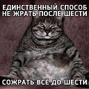 ���� �����, ������������, 58 ��� - ��������� 14 ������� 2026 � ������ ���� ����������