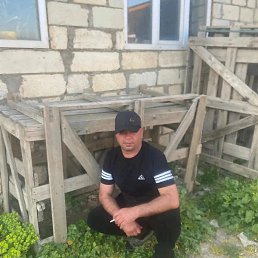 ������, ������, 44 ����