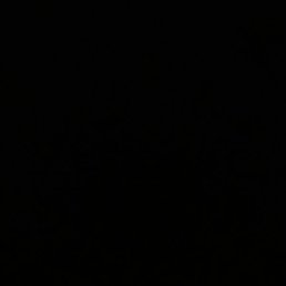 Zohid, �����, 20 ���