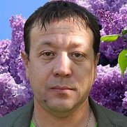 , 50 , 