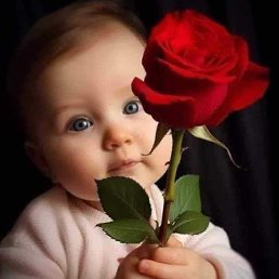 Marawan, ������, 36 ���