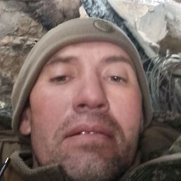 �������, �����-���������, 41 ���