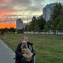 ���� ������, �����, 43 ���� - ��������� 28 �������� 2024 � ������ ���� ����������