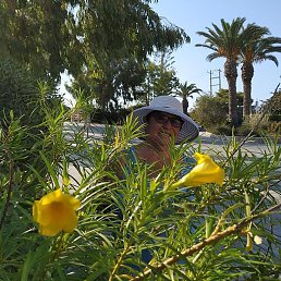 �������, ���������, 65 ���