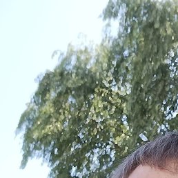 ������, ������, 34 ����