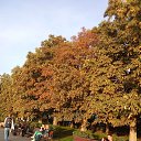 ���� ���������, ������ - ��������� 22 �������� 2025 � ������ ������������ � ��������