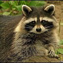 ���� Bmv, ��������, 59 ��� - ��������� 29 ������� 2024 � ������ ���� ����������