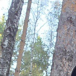 Dmitry, ������, 38 ���