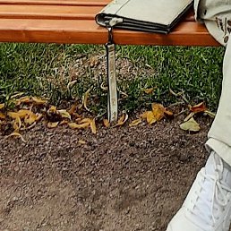 �������, ������, 41 ���