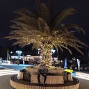 ���� �����, ����, 37 ��� - ��������� 20 ����� 2024 � ������ ���� ����������