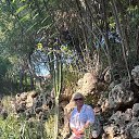 ���� ������, �����, 59 ��� - ��������� 27 ������ 2024