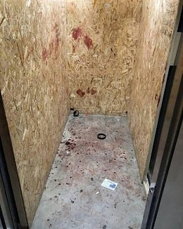 �����������