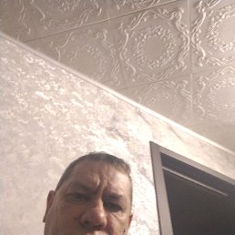 ���� ����������, 47 ���, �����������