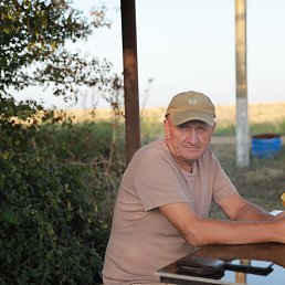 , 62, 