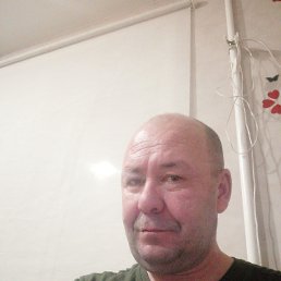 , 53 , 